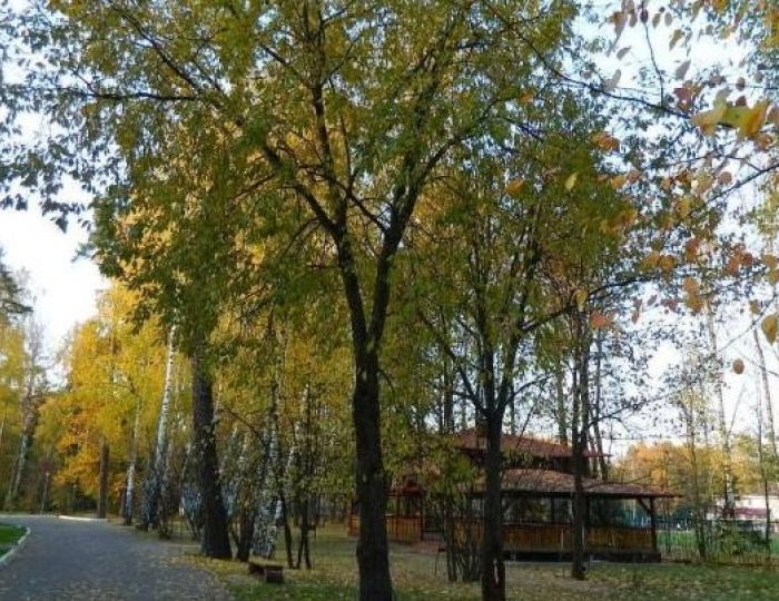 Открытые беседки и веранды - Курорт-парк «Союз МИД»